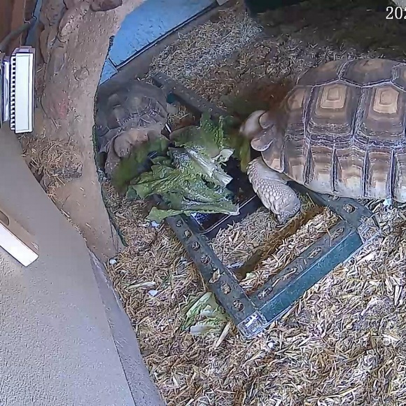 Meet your Posher, Mark - Picture 1 of 1